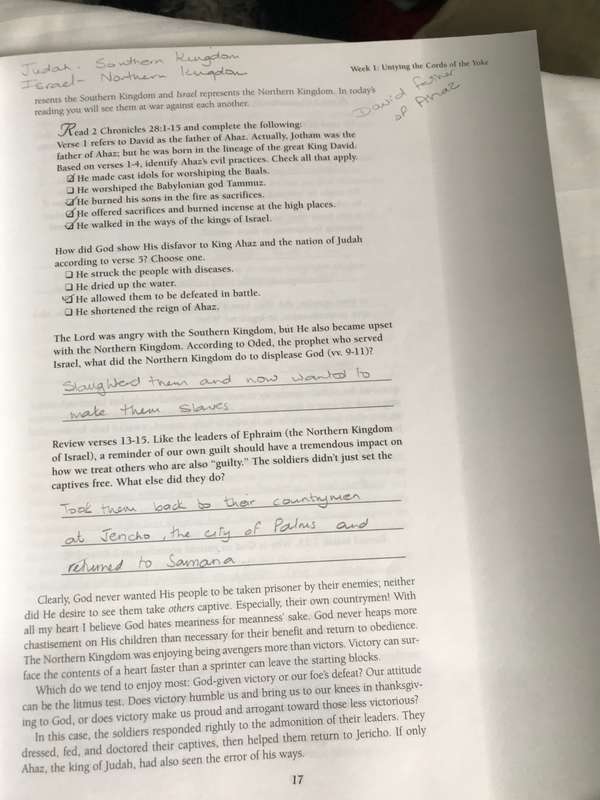 Beth Moore Jesus The One and Only workbook