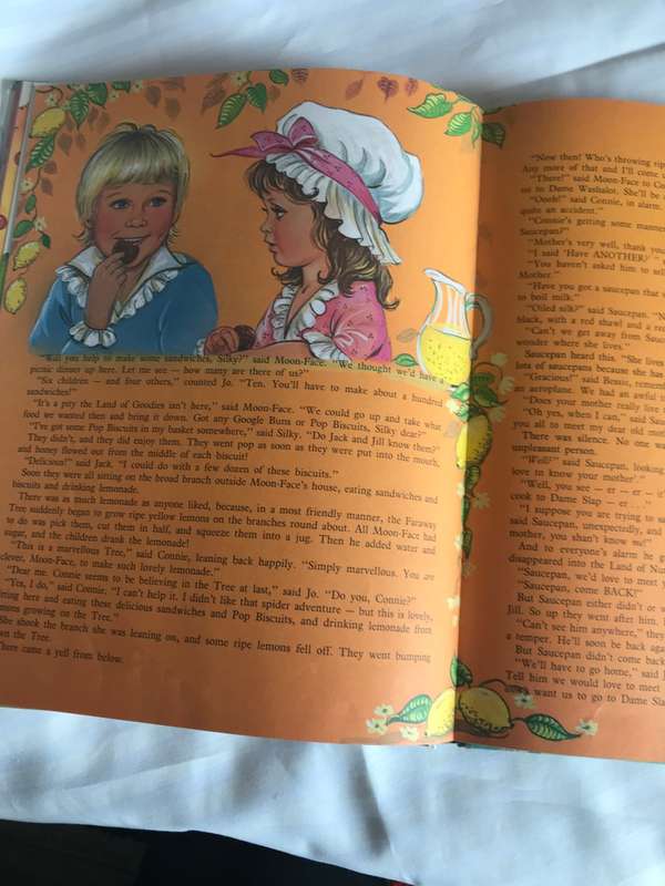 The Folk of the Faraway Children bookTree Grit Blyton