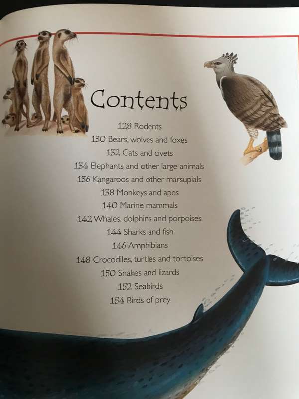 Giant Book of Questions and Answers