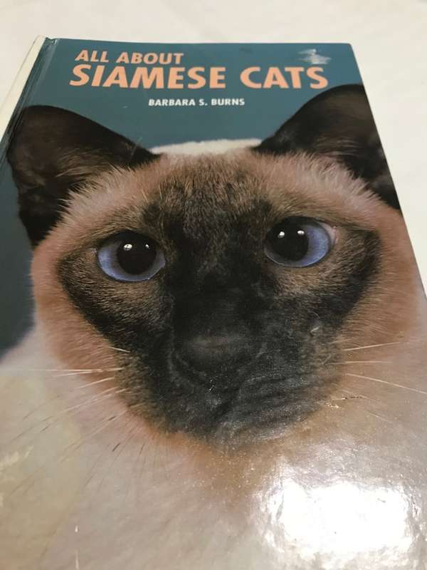 All about Siamese cats Barbara S Burns