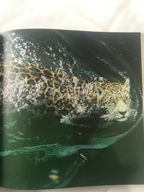 The living Planet  David Attenborough