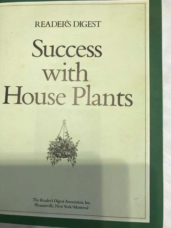 Success with Household Plants  Readers Digest