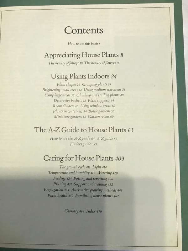 Success with Household Plants  Readers Digest