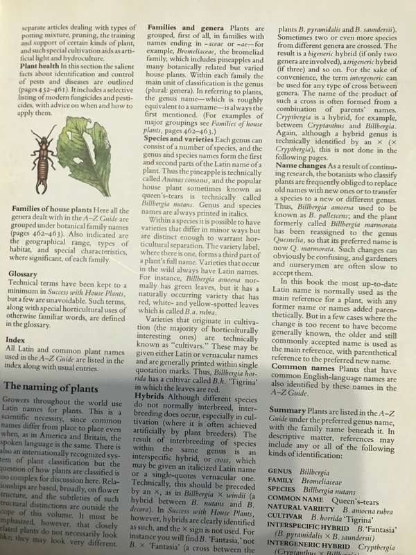 Success with Household Plants  Readers Digest
