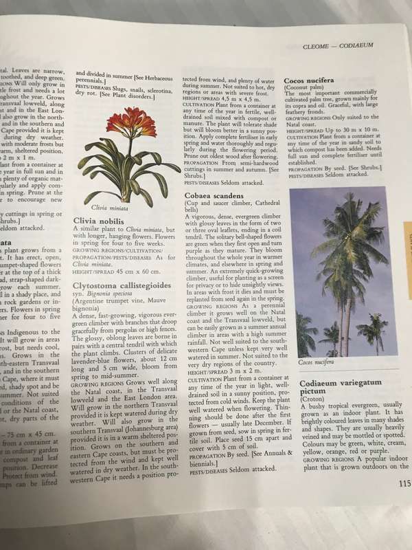 Illustrated Encyclopedia of Gardening in South Africa Readers Digest