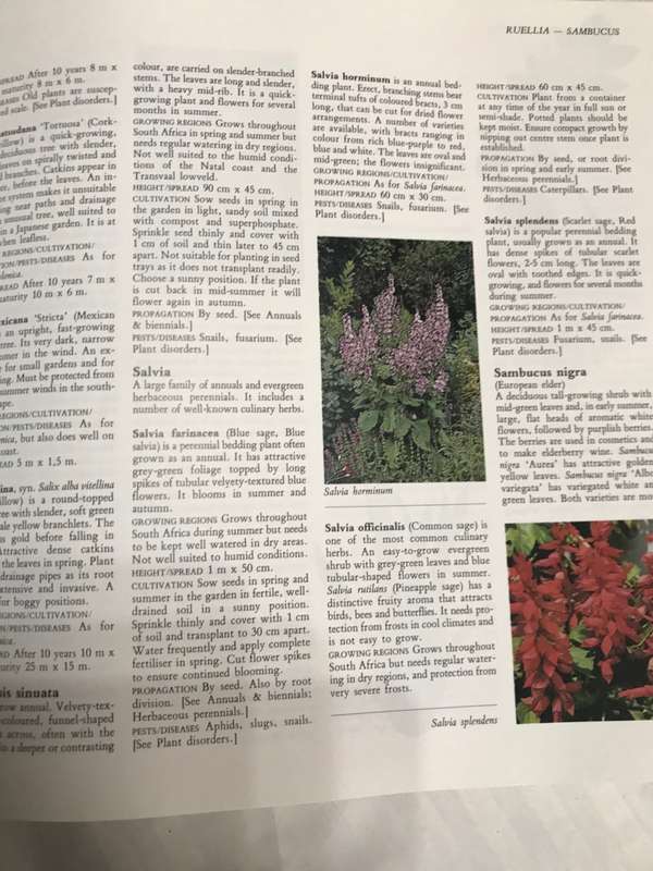 Illustrated Encyclopedia of Gardening in South Africa Readers Digest