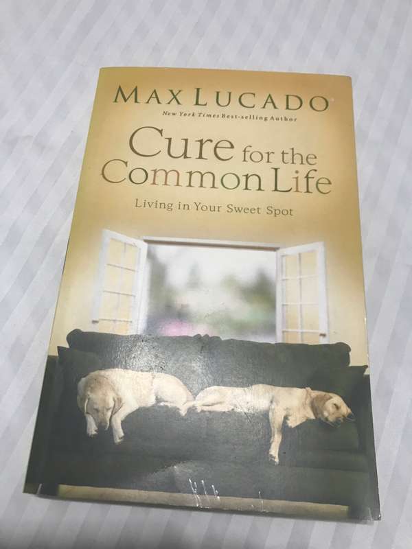 Cure for the Common Life living in the sweet spot Max Lucado