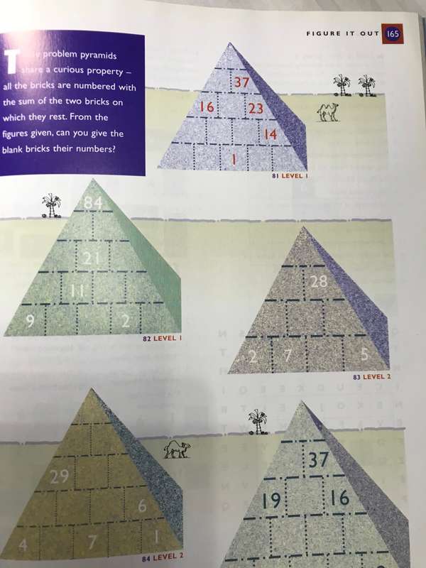 Puzzle and Brain Teasers Readers Digest