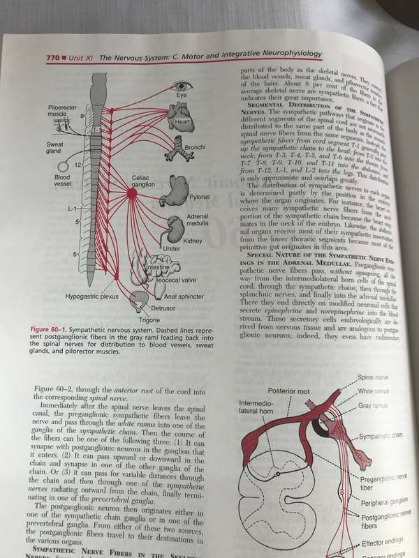 Medical Physiology Guyton &Hall 9th Edition
