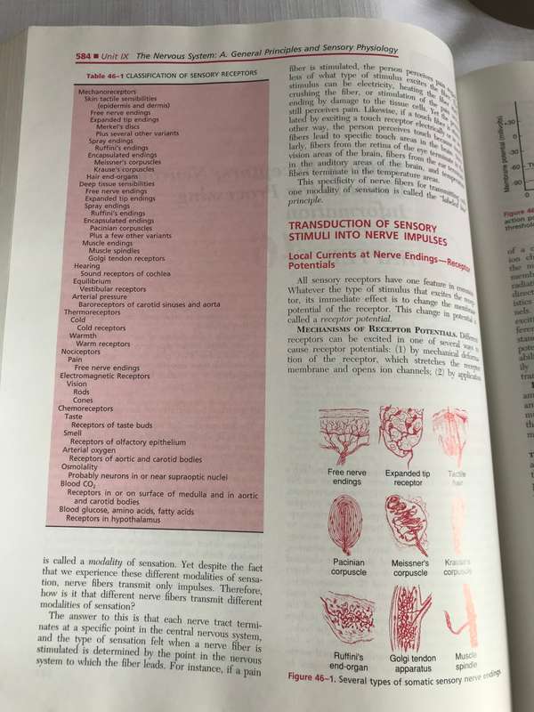 Medical Physiology Guyton &Hall 9th Edition
