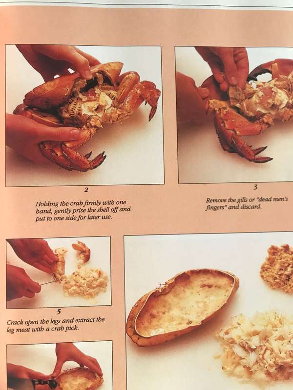 The Great Fish and Seafood Cookbook Judith Ferguson excellent source of vitamins