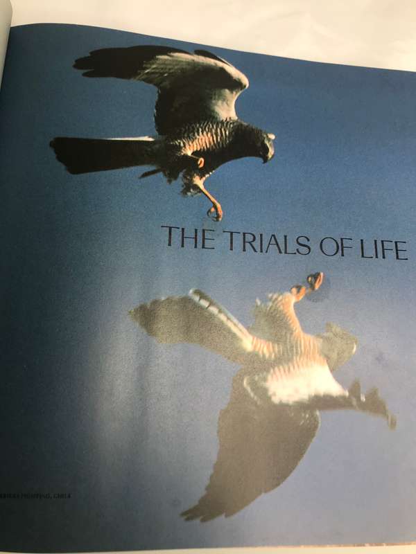 The Trials of Life David Attenborough Enlarged Edition