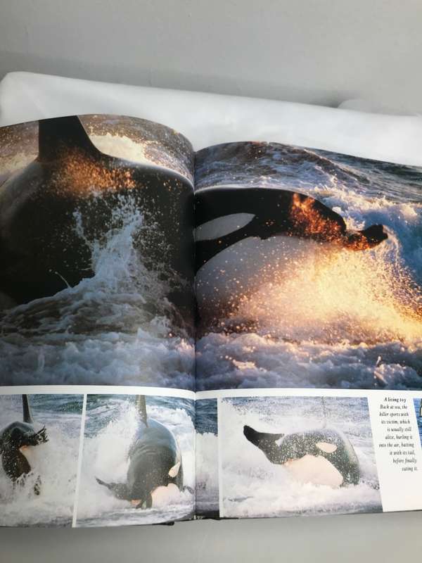 The Trials of Life David Attenborough Enlarged Edition