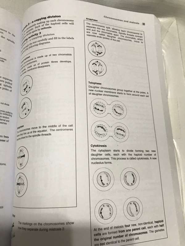 Grade 12 Life Science Textbook and workbook J. Grogan