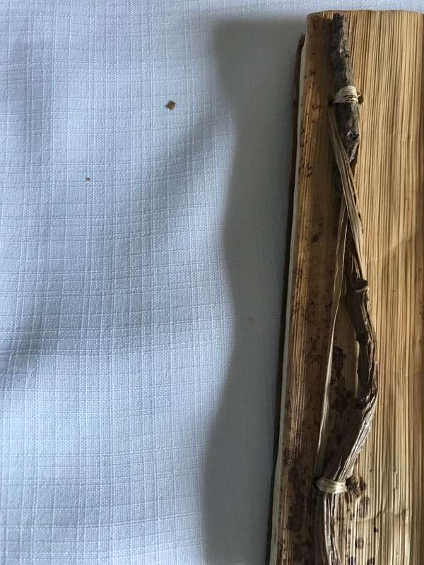 Unique Photo Album Handmade Vintage Paper Scrap Book Natural Materials