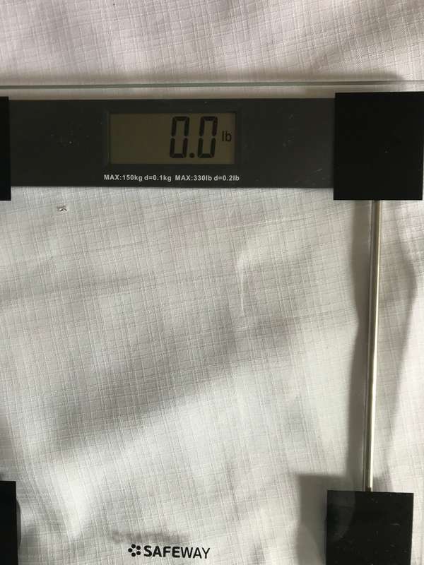 Glass scale