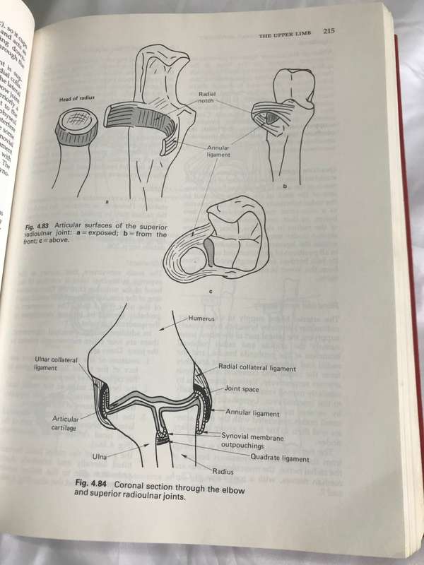 Anatomy and Human Movement *Structure and Function *  891 pages
