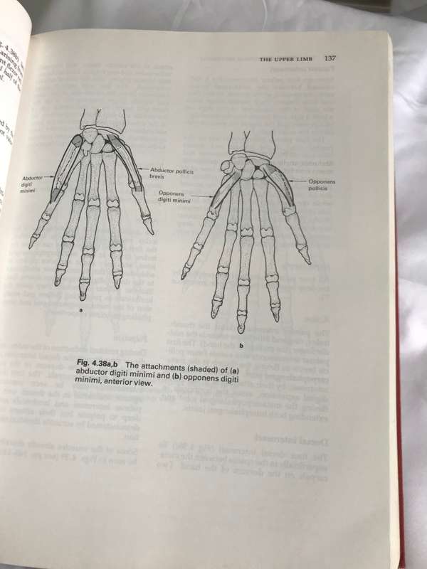 Anatomy and Human Movement *Structure and Function *  891 pages