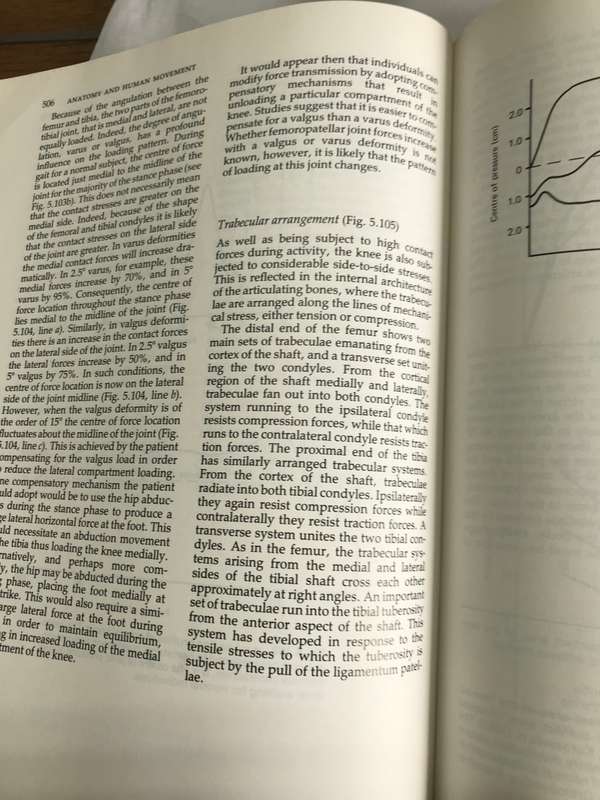Anatomy and Human Movement *Structure and Function *  891 pages