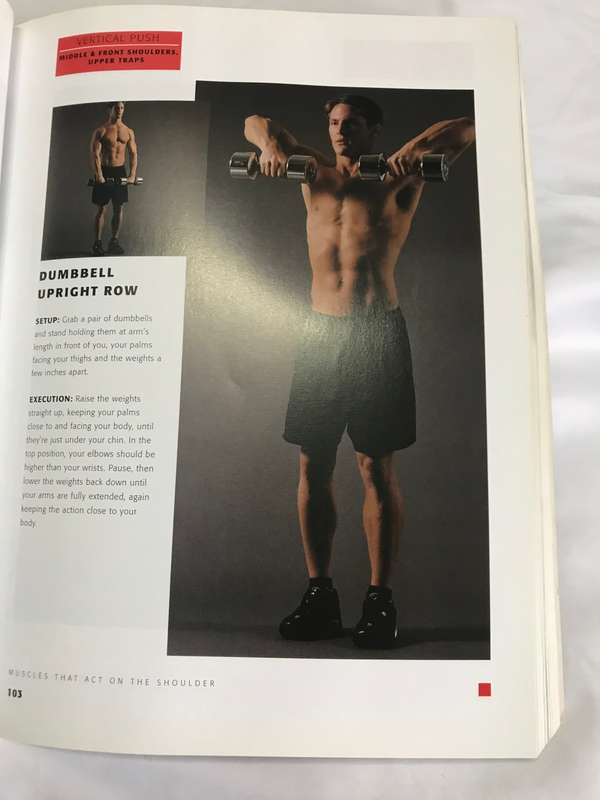 MUSCLE   Mens Health Ian King and Lou Schuler
