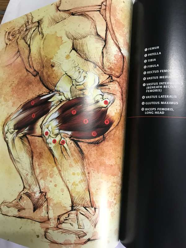 MUSCLE   Mens Health Ian King and Lou Schuler