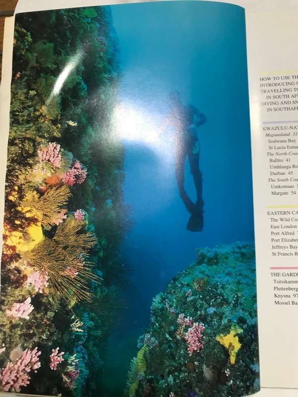 The Dive Sites of South Africa Comprehensive coverage of diving and snorkeling
