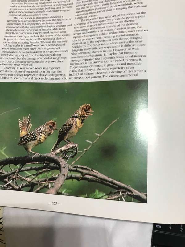 Bird Behavior Robert Burton