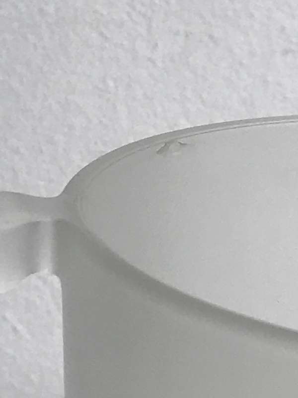 Vase Frosted Glass one small chip inside see pictures thick glass size 13cm x 12 cm(top)