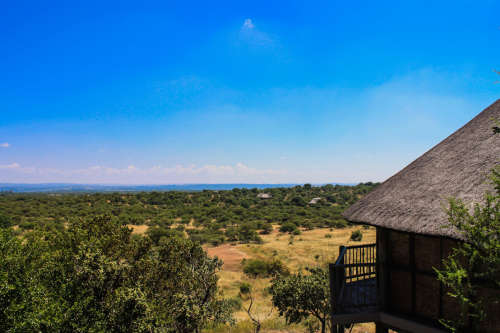 Mid Week @ Monateng Safari Lodge 24 Jan - 28 Jan 2022