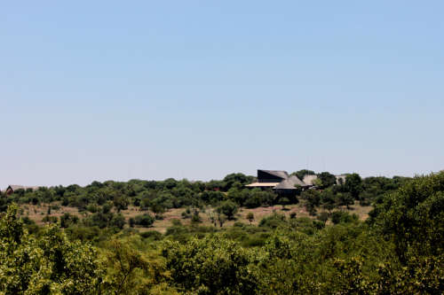 Mid Week @ Monateng Safari Lodge 24 Jan - 28 Jan 2022