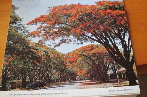RHODESIA -GREETINGS FROM RHODESIA 1974 STAND UP DESK CALENDAR - GREAT FOR 50TH IN 2024