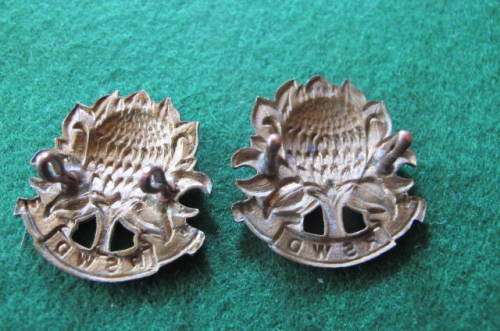 SOUTH AFRICA -REGIMENT SUID-WESTELIKE DISTRIKTE PAIR COLLAR BADGES