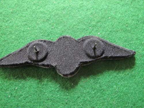 SOUTH AFRICA - SOUTH AFRICAN AIR FORCE  - NAVIGATOR RUBBERISED BADGE