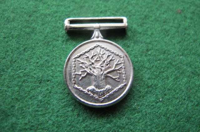 South Africa -  SANDF - Miniature Operational Medal for Southern Africa