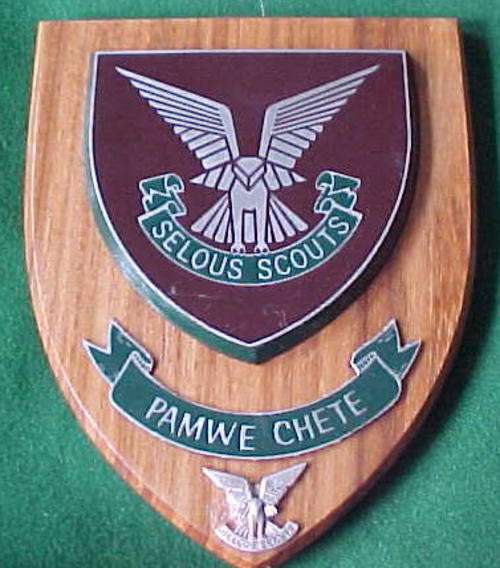 RHODESIA - SELOUS SCOUTS - PLAQUE WITH SELOUS SCOUTS EMBLEM