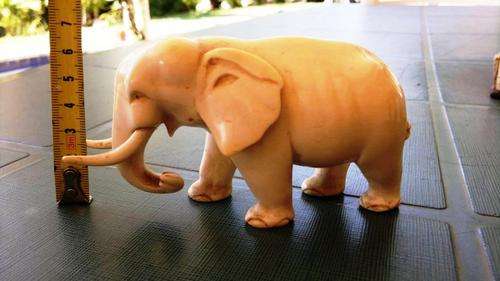 Tanzanian Ivory Elephant  65mm