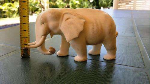 Tanzanian Ivory Elephant 70mm