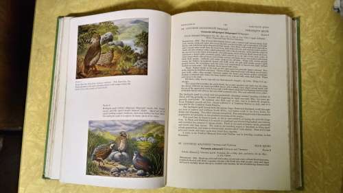 The Birds of Natal and Zululand