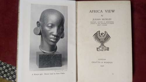 Africa View