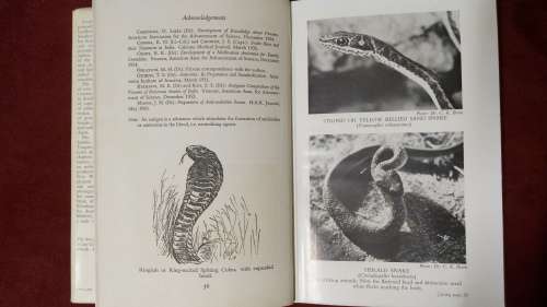 Snakes of Africa - southern, central and east