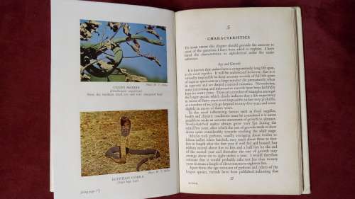 Snakes of Africa - southern, central and east
