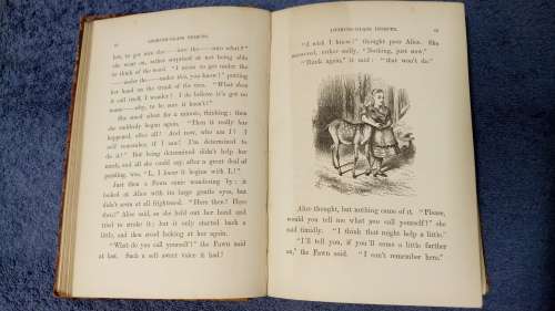 Through The Looking Glass (And What Alice Found There)