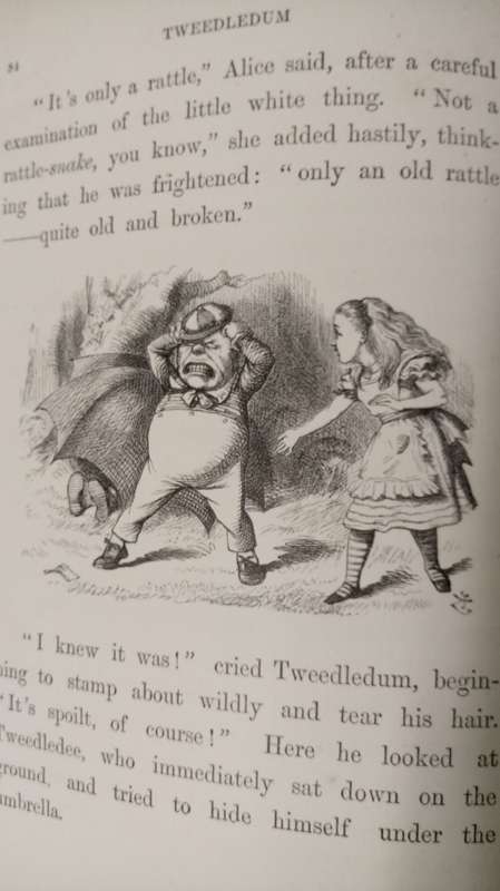 Through The Looking Glass (And What Alice Found There)