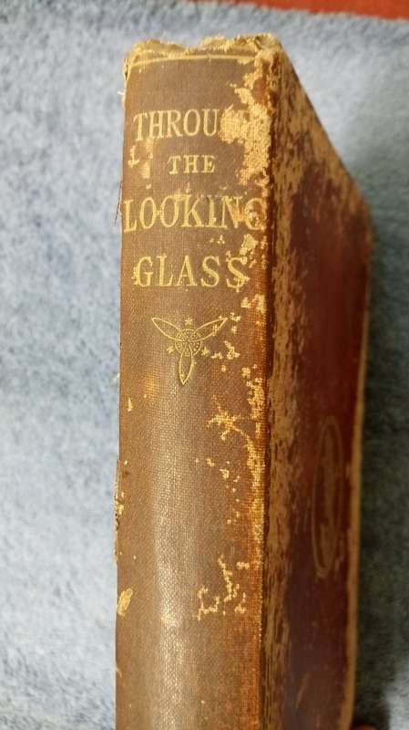 Through The Looking Glass (And What Alice Found There)