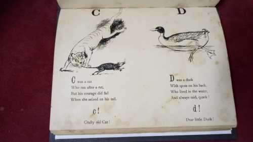 Nonsense Songs, Stories, Botany, And Alphabets