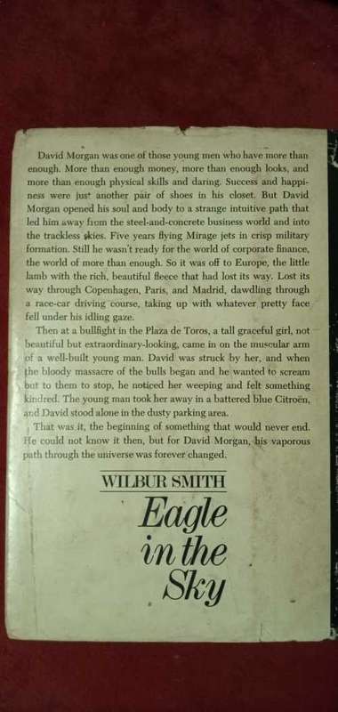 Eagle in the Sky