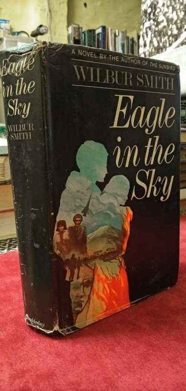 Eagle in the Sky