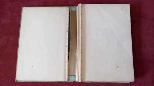 Pinocchio in Africa (signed by author)