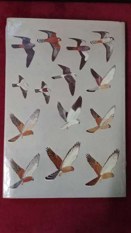 Birds of Prey of Southern African