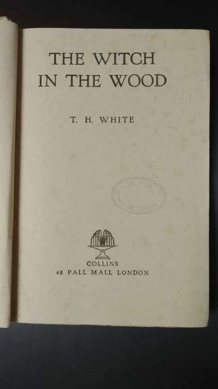 The Witch in the Wood
